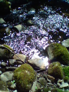 sunlight_on_river