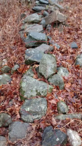 buried-stone-wall