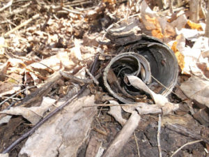 deadfall