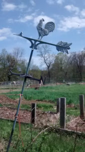 old_weathervane