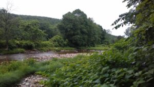 brook_flowing_east