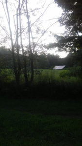 twilight