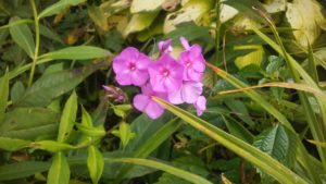beauty_context_love